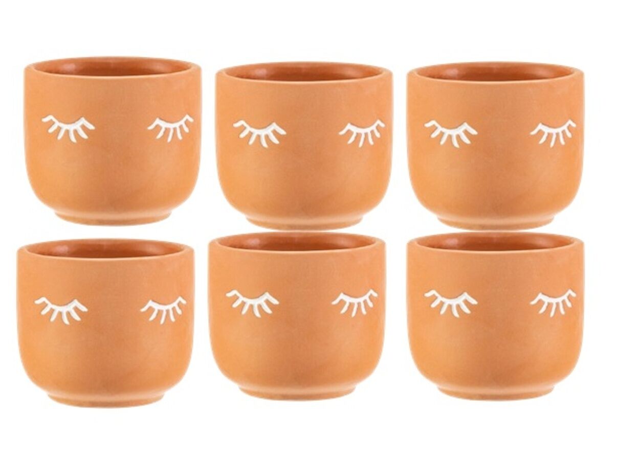 6 x Sass & Belle Mini Eyes Shut Terracotta Planter Plant Pot Succulent Cactus Pot - Image 1